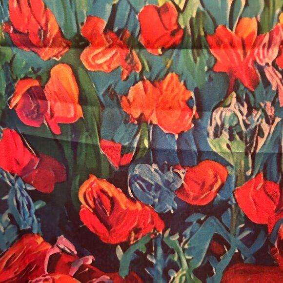 NWT Frida Kahlo silky scarf - Picture 9 of 11